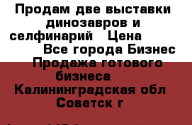 Продам две выставки динозавров и селфинарий › Цена ­ 7 000 000 - Все города Бизнес » Продажа готового бизнеса   . Калининградская обл.,Советск г.